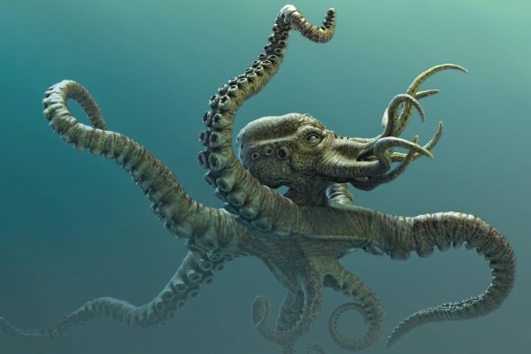 Kraken сайт tor